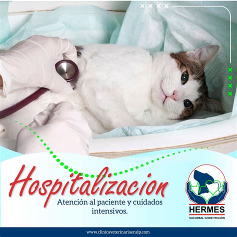 Clínica Veterinaria Hermes.